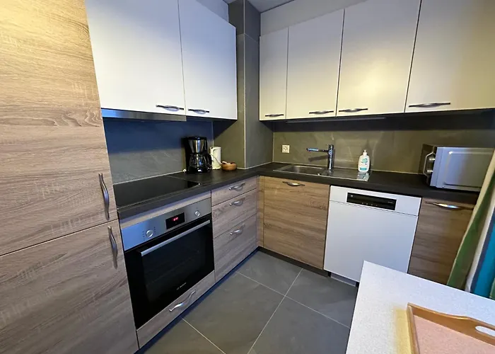 Appartement Les Dents Du Midi A10 Leysin